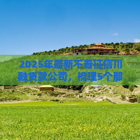 2025年最新不看征信川融贷款公司，梳理5个那些是正规的网贷平台