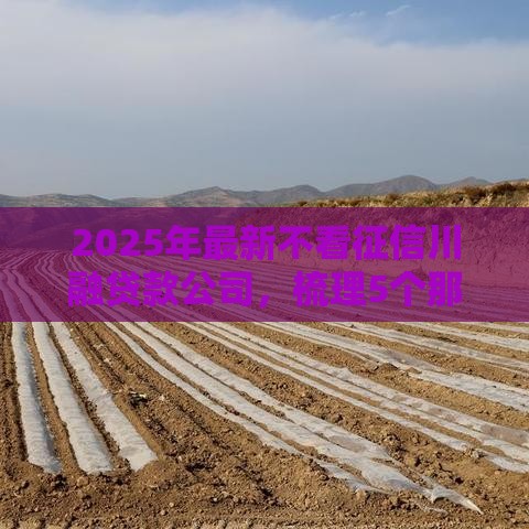 2025年最新不看征信川融贷款公司，梳理5个那些是正规的网贷平台