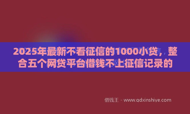 2025年最新不看征信的1000小贷，整合五个网贷平台借钱不上征信记录的