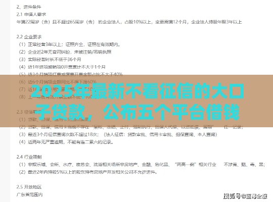 2025年最新不看征信的大口子贷款，公布五个平台借钱