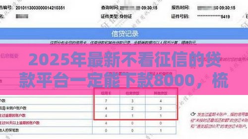 2025年最新不看征信的贷款平台一定能下款8000，梳理五个借钱免息平台