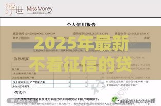 2025年最新不看征信的贷款银行，看看这5个网贷平台好下款
