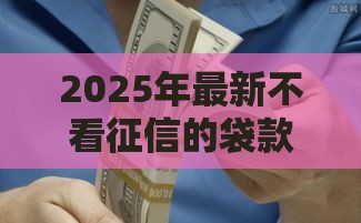 2025年最新不看征信的袋款平台，梳理五个能借钱的平台