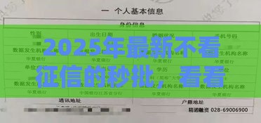 2025年最新不看征信的秒批，看看这五个征信是花户平台可以借钱不