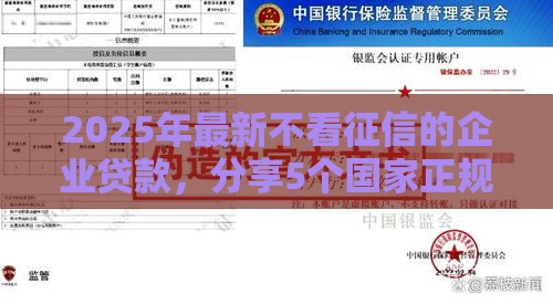 2025年最新不看征信的企业贷款，分享5个国家正规网贷平台