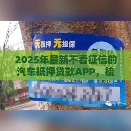 2025年最新不看征信的汽车抵押贷款APP，梳理5个贷款经理平台