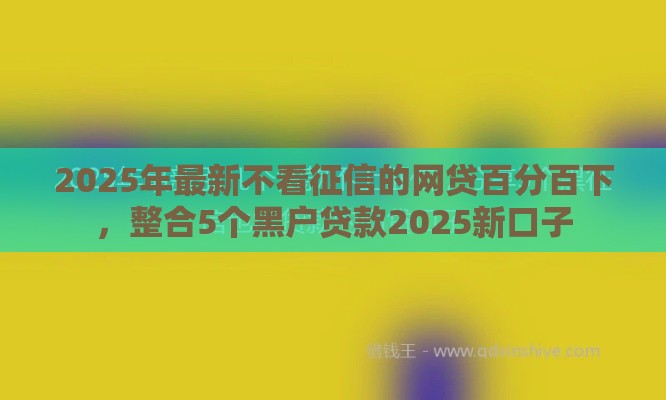 2025年最新不看征信的网贷百分百下，整合5个黑户贷款2025新口子