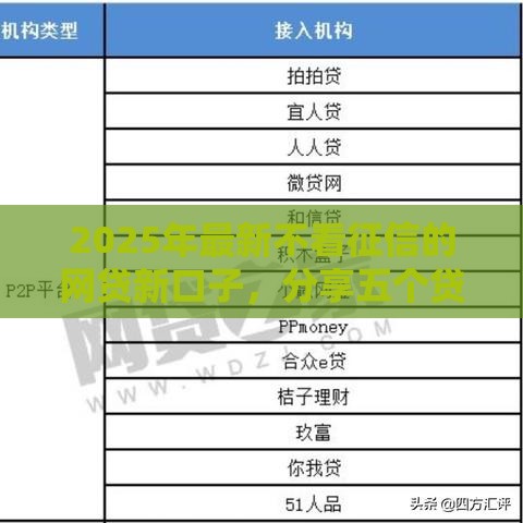 2025年最新不看征信的网贷新口子，分享五个贷款平台大全