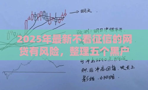 2025年最新不看征信的网贷有风险，整理五个黑户可以在平台上借到钱