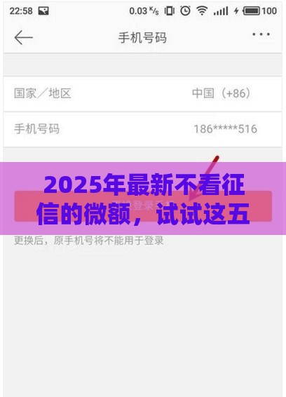 2025年最新不看征信的微额，试试这五个最容易通过的网贷平台