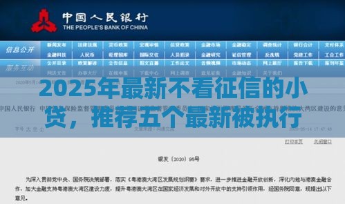 2025年最新不看征信的小贷，推荐五个最新被执行人下款口子