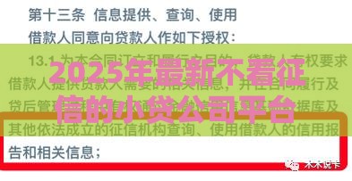 2025年最新不看征信的小贷公司平台，公布5个比较好过的口子