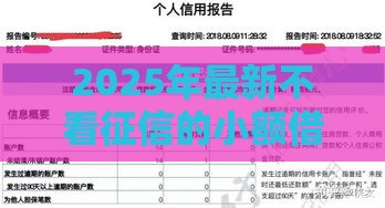 2025年最新不看征信的小额借款，整理五个征信黑查询多网贷多负债高还能百分百下款平台
