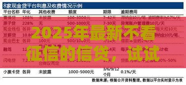 2025年最新不看征信的信贷，试试这五个贷款平台名字大全