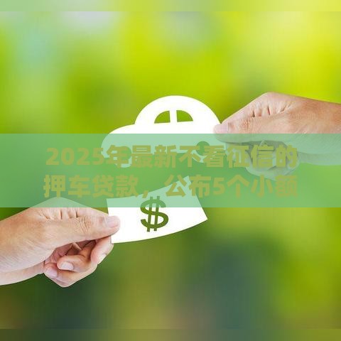 2025年最新不看征信的押车贷款，公布5个小额贷款平台好下款不看征信