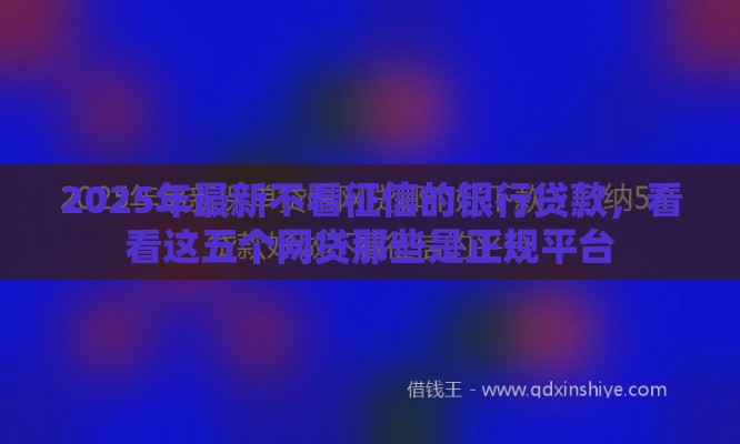 2025年最新不看征信的银行贷款，看看这五个网贷那些是正规平台