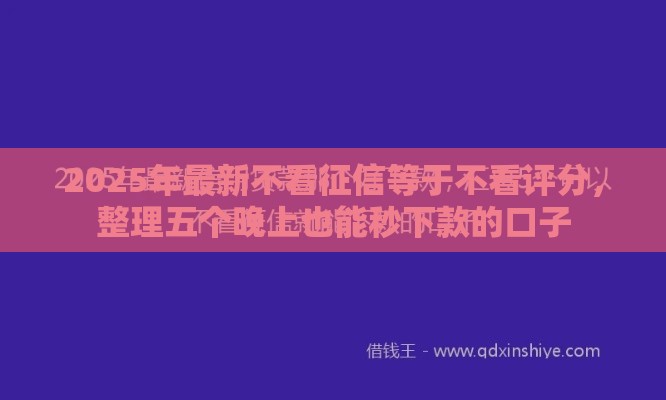 2025年最新不看征信等于不看评分，整理五个晚上也能秒下款的口子