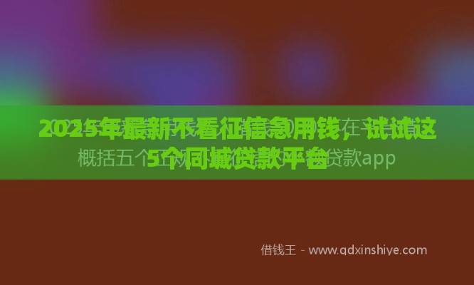 2025年最新不看征信急用钱，试试这5个同城贷款平台