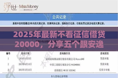 2025年最新不看征信借贷20000，分享五个跟安逸花差不多的平台