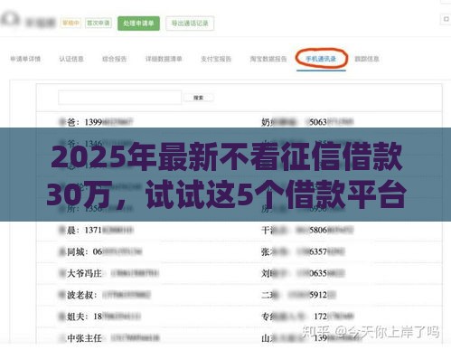2025年最新不看征信借款30万，试试这5个借款平台好贷款啊