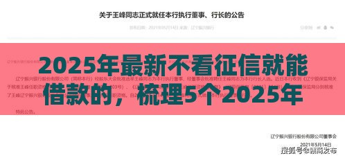 2025年最新不看征信就能借款的，梳理5个2025年黑户可以下款的口子