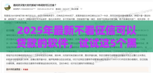 2025年最新不看征信可以贷款的软件，试试这5个黑户必过的小额平台
