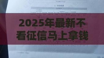 2025年最新不看征信马上拿钱，整合5个2025逾期黑户能下款的口子
