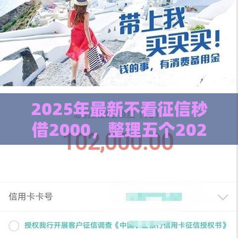 2025年最新不看征信秒借2000，整理五个2025大花户放水秒下款的口子
