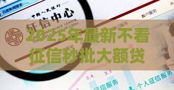 2025年最新不看征信秒批大额贷，整理五个工资贷款平台
