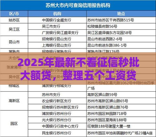2025年最新不看征信秒批大额贷，整理五个工资贷款平台