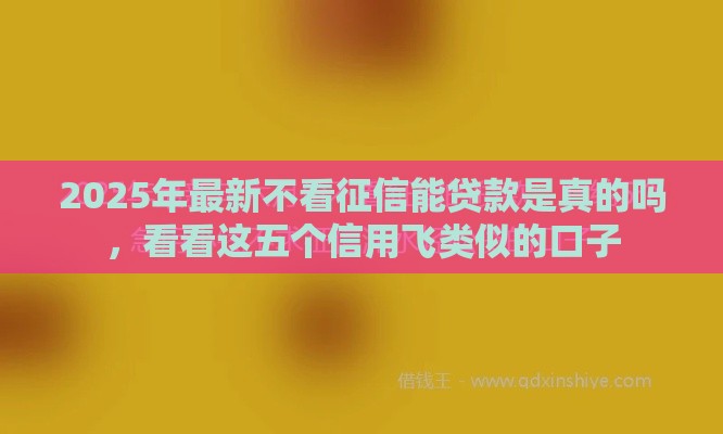 2025年最新不看征信能贷款是真的吗，看看这五个信用飞类似的口子