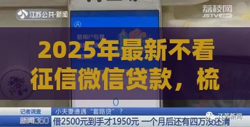 2025年最新不看征信微信贷款，梳理五个十大容易过的网贷平台