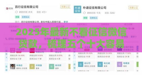 2025年最新不看征信微信贷款，梳理五个十大容易过的网贷平台