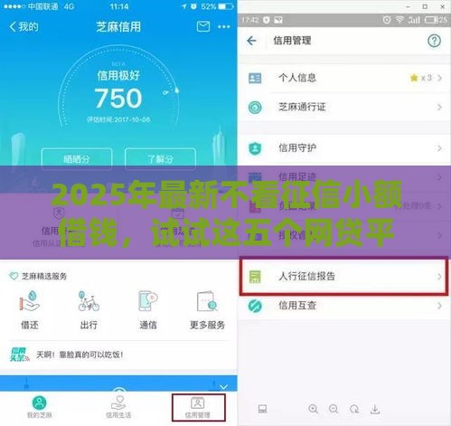 2025年最新不看征信小额借钱，试试这五个网贷平台好借钱