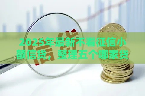 2025年最新不看征信小额信贷，整理五个哪家贷款平台容易通过