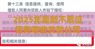 2025年最新不看征信有哪些贷款公司，分享五个口子贷款