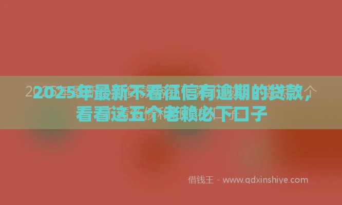 2025年最新不看征信有逾期的贷款，看看这五个老赖必下口子