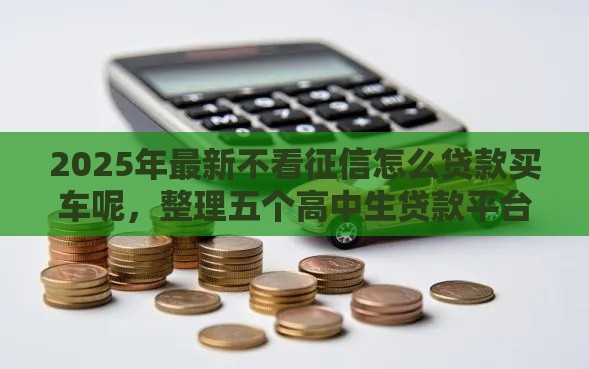 2025年最新不看征信怎么贷款买车呢，整理五个高中生贷款平台
