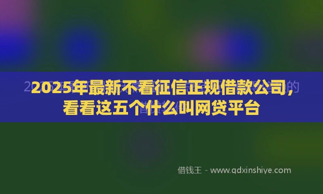 2025年最新不看征信正规借款公司，看看这五个什么叫网贷平台
