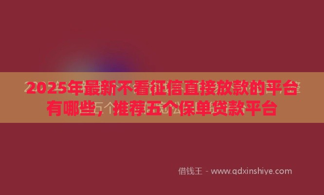 2025年最新不看征信直接放款的平台有哪些，推荐五个保单贷款平台