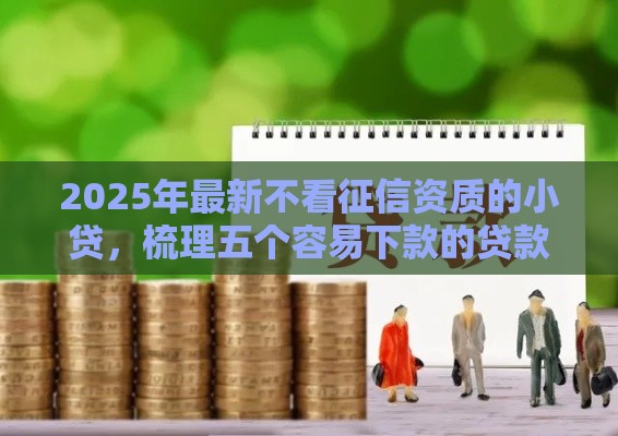 2025年最新不看征信资质的小贷,梳理五个容易下款的贷款平台 2025年最新不看征信资质的小贷,梳理五个容易下款的贷款平台