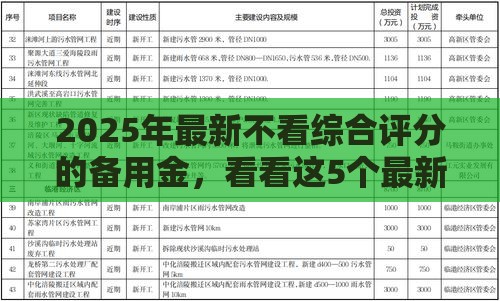 2025年最新不看综合评分的备用金，看看这5个最新平台不看负债和征信可以借到钱