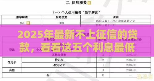2025年最新不上征信的贷款，看看这五个利息最低的贷款平台