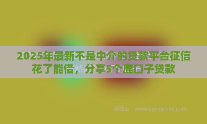 2025年最新不是中介的贷款平台征信花了能借，分享5个鹿口子贷款