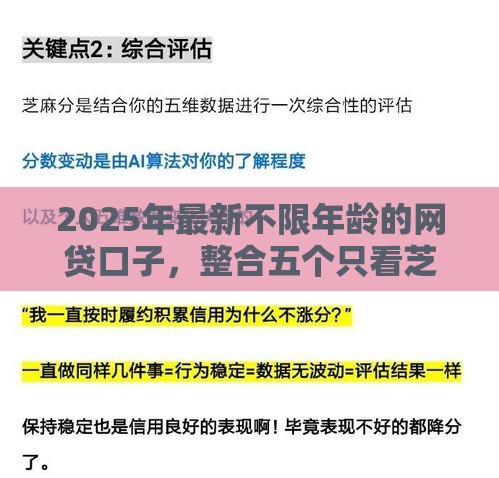 2025年最新不限年龄的网贷口子，整合五个只看芝麻分不看征信的纯线上审批平台
