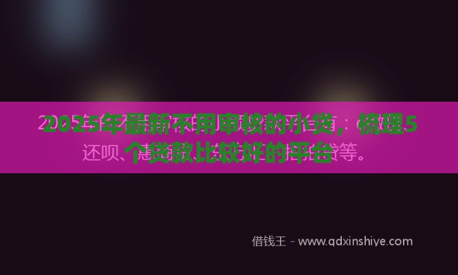 2025年最新不用审核的小贷，梳理5个贷款比较好的平台