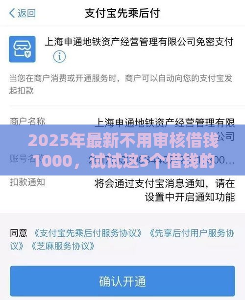 2025年最新不用审核借钱1000，试试这5个借钱的平台