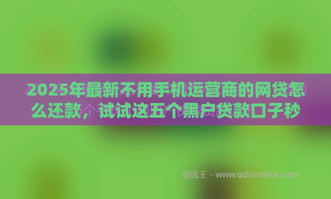 2025年最新不用手机运营商的网贷怎么还款，试试这五个黑户贷款口子秒下的