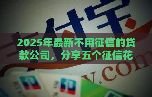 2025年最新不用征信的贷款公司，分享五个征信花贷款平台好下款