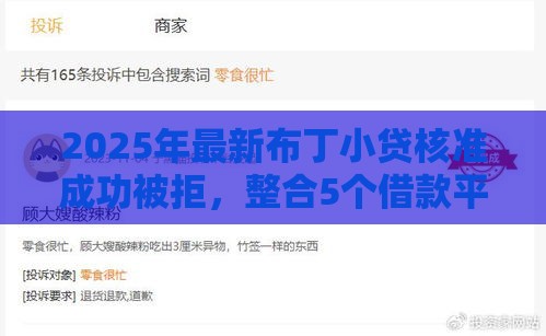 2025年最新布丁小贷核准成功被拒，整合5个借款平台最好借钱